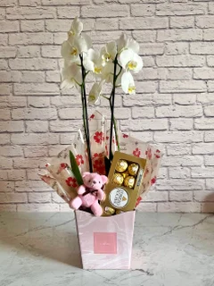 Seleção Orquídea Branca + Chocolate + Pelúcia + Vaso