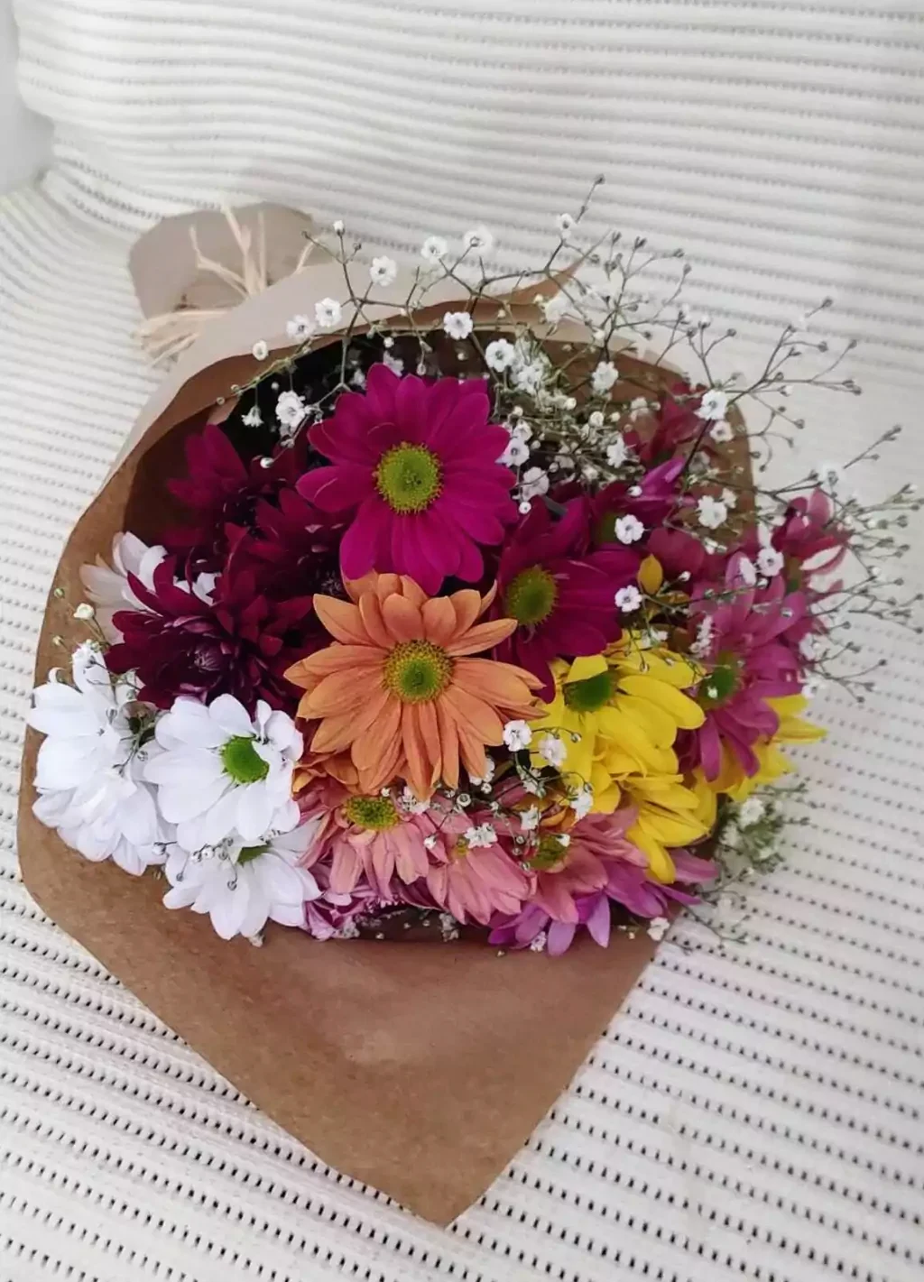 Mimo de Margaridas e Gérberas
