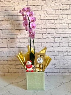 Seleção Orquídea Rosa + Chocolate + Pelúcia + Vaso