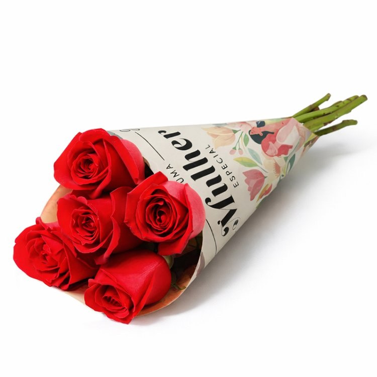 Mimo 05 rosas vermelhas