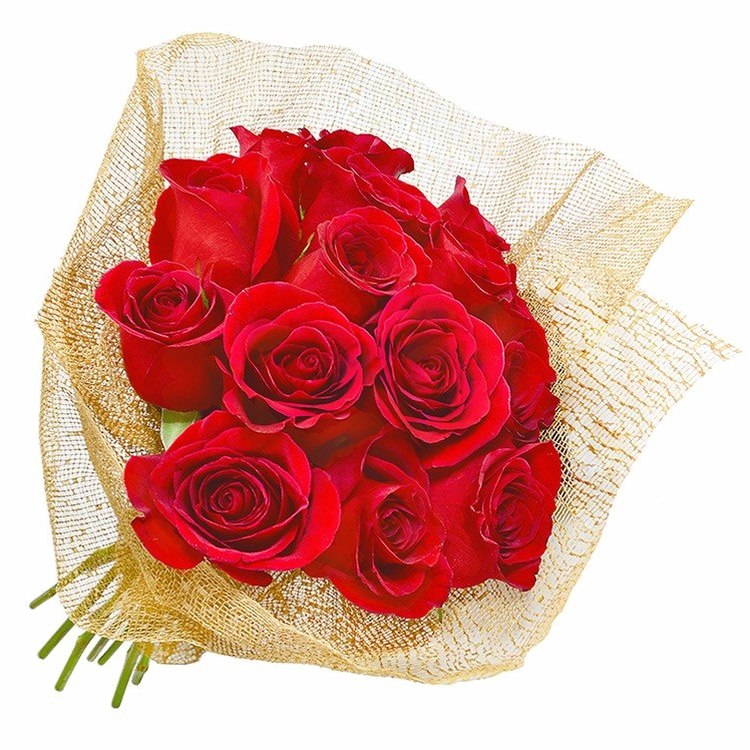 Mimo 08 rosas vermelhas